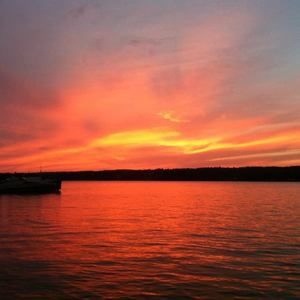 Meet your Posher, Helena